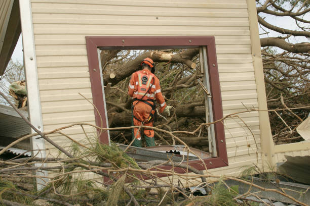 Best Tree and Shrub Care  in Lone Tree, IA